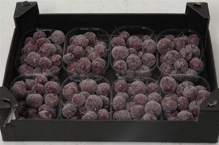 <h4>Appel (wax+gl) X8 Bordeaux</h4>