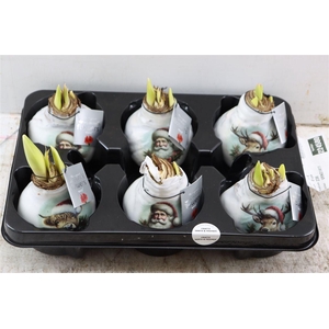 Wax Hipp Crafts Santa En Friends Mix