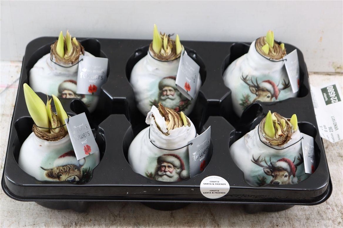 <h4>Wax Hipp Crafts Santa En Friends Mix</h4>