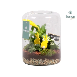 Green BottleIsabella large met Pasen