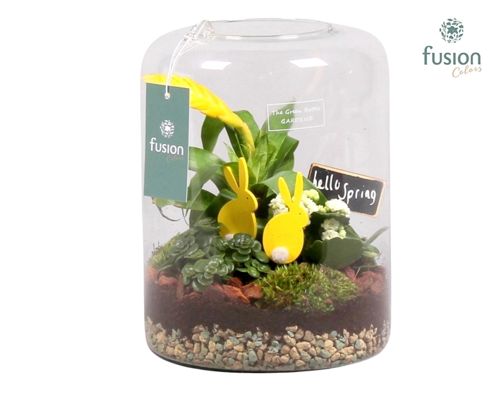 <h4>Green BottleIsabella large met Pasen</h4>