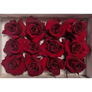 Ro Pres.. Red (4cm)