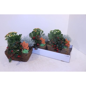 ARR GARDEN WOOD X2