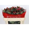 Hypericum True Romance Spray