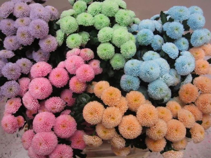 <h4>Chr S Pizarro Sweet Mix</h4>