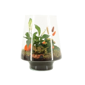 41682: Treasure time arrangement