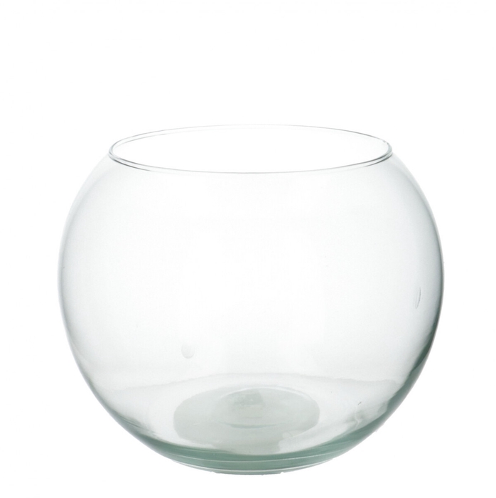 Glass fish bowl d24/13 20cm