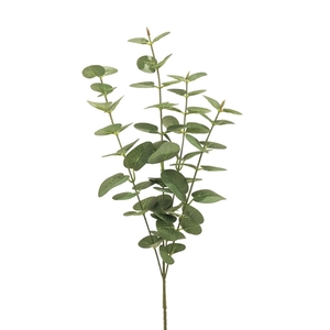 Eucalyptus 64cm grey\\green