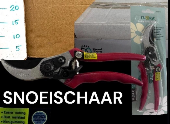 <h4>HUIS EN TUINDECO H%</h4>