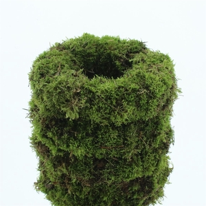 Wreath Moss 30cm