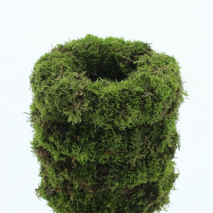<h4>Wreath Moss 30cm</h4>