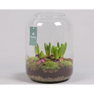 Green Bottle Isabella XLarge met Hyacinten