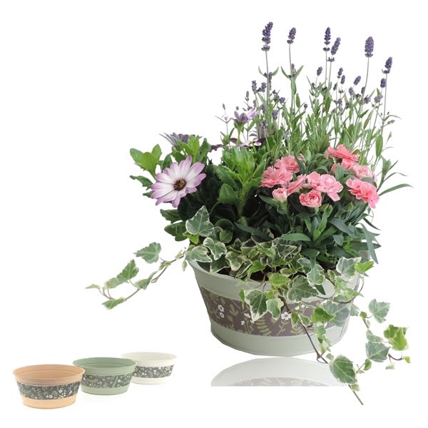 <h4>Collectie Florentina Arrangement in Zinken Schaal 21 cm</h4>