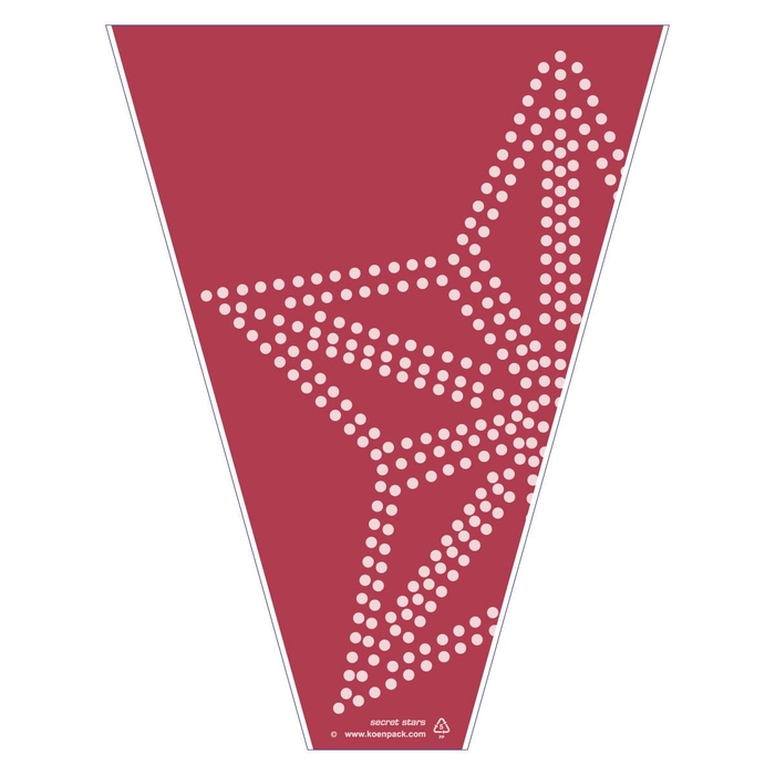 <h4>Hoes Secret 50*35*10cm x50</h4>