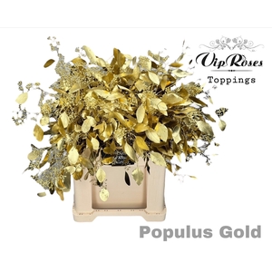 EUCA POPULUS BES GOLD