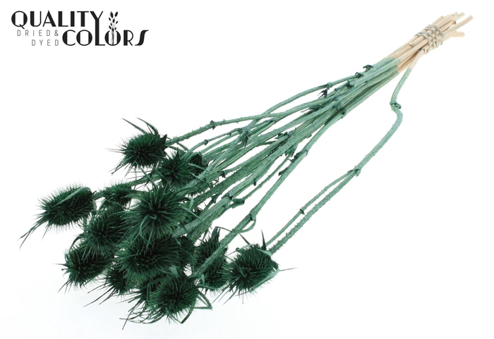 <h4>Droogbloemen   ...bewerkt H%</h4>