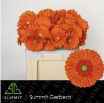 <h4>GE GR ATLANTA</h4>