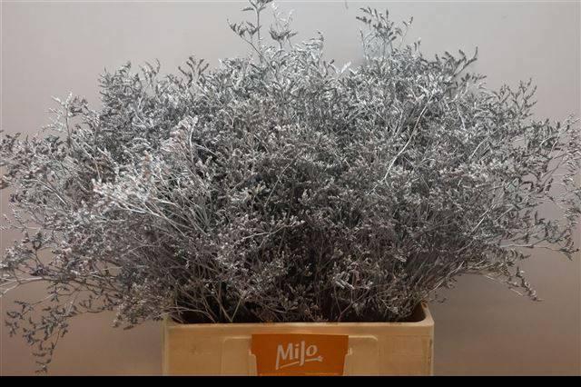 <h4>LIM OV KLB H%</h4>