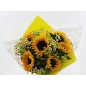 Bouquet Field Jacky