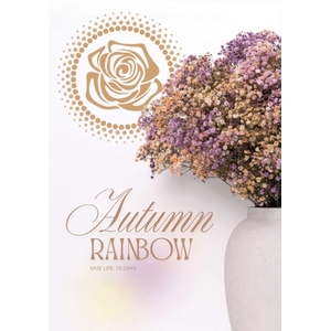Gyps Xlence Autumn Rainbow X25 40gr