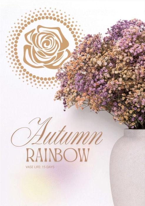 <h4>Gyps Xlence Autumn Rainbow X25 40gr</h4>