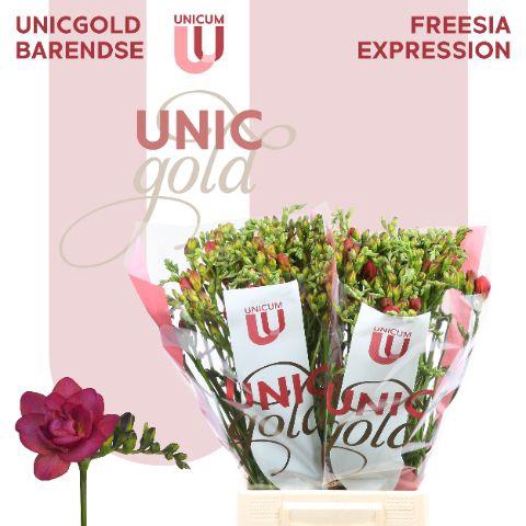 <h4>UG Barendse - Expression 50</h4>