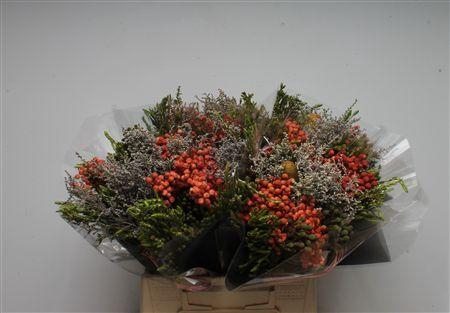 <h4>Bq Edelkleur</h4>