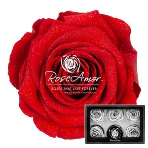 Lplus Diamond Dust Red02