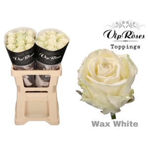 R Gr Wax White X20