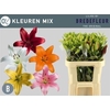 Li La Gem In Fust X4