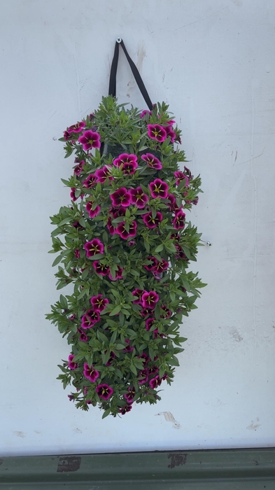 <h4>OVERIGE PERKPL</h4>