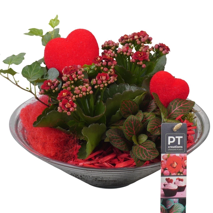 <h4>Arr.    Planten  L%</h4>