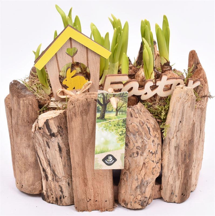 <h4>Druivenhout ovaal 21x14.5cm</h4>