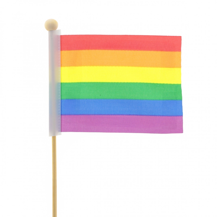 <h4>Bijsteker 50cm Vlag Pride 8*11cm</h4>