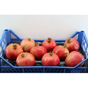 Sier Granaatappel Red X9 P Box
