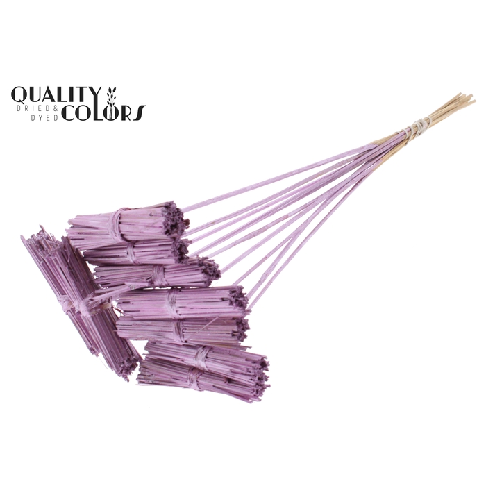 <h4>Kore Posy on stem Metallic Pink</h4>