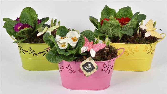 <h4>Zink ovaal met touw</h4>