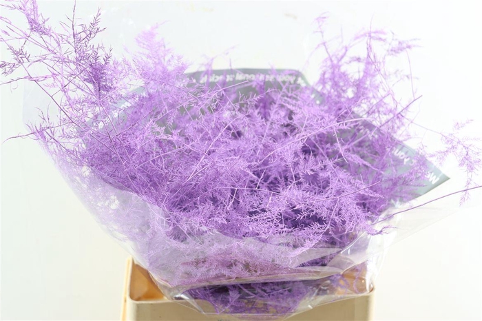 <h4>Asp Kbh Lang Milka</h4>