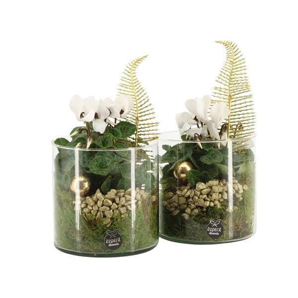 <h4>61915: X-mas arrangement</h4>