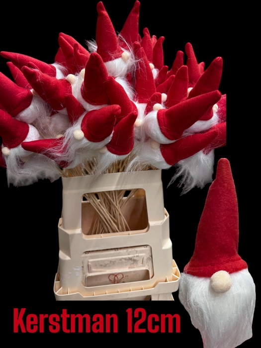 <h4>HUIS EN TUINDECO H%</h4>