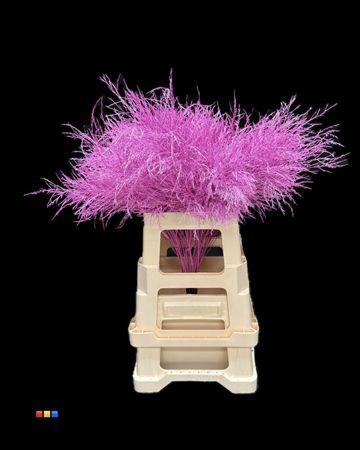 <h4>Treefern Cerise</h4>