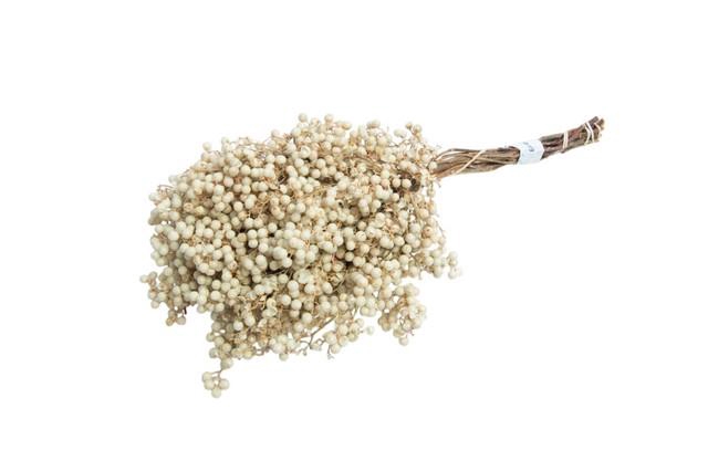 <h4>Dried schinus mollis bleached</h4>