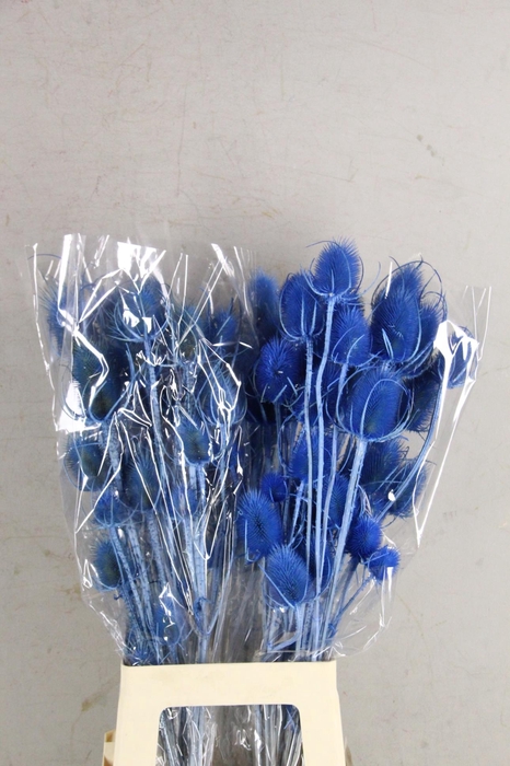 <h4>DF Dipsacus Light Blue Bs 130g</h4>