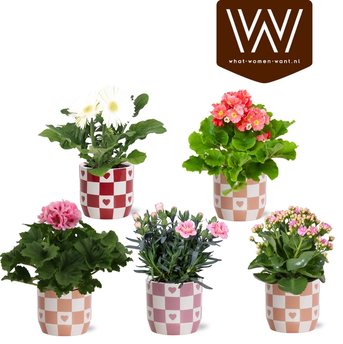 <h4>Bloeimix in Collectie 'Sympathetic Moods' Rosie keramiek</h4>