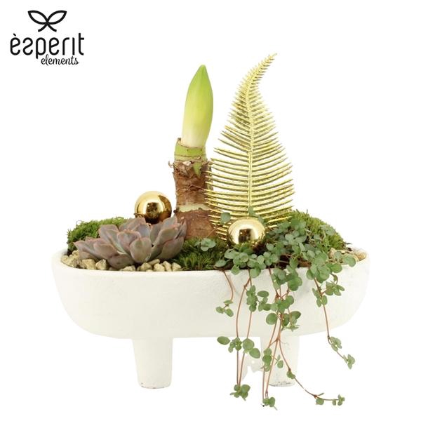 <h4>Arrangementen Kerst 6%</h4>