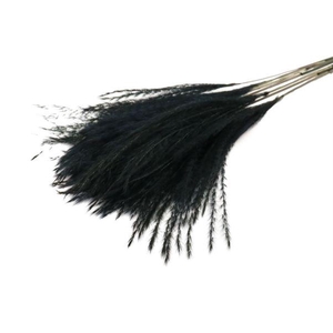 Bunch Fluffy Silver Grass 10 Pcs L75