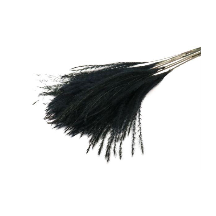 <h4>Bunch Fluffy Silver Grass 10 Pcs L75</h4>