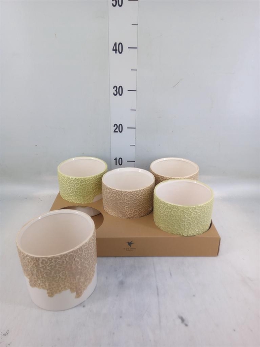 <h4>Pot   ...Keramische H%</h4>