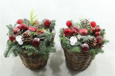 <h4>6. Rotan Mand Rood</h4>