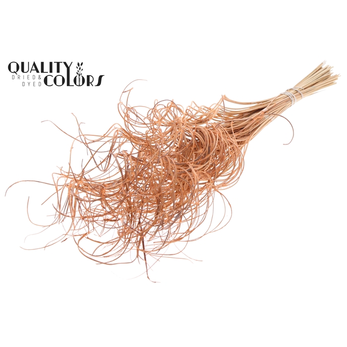 <h4>Palm Curly TT 3pc/tuft - 33 tuft/bunch Frosted Salmon</h4>